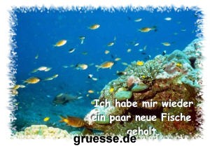 grusskarte-diverses-bekanntmachungen-k_002
