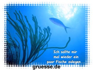 grusskarte-diverses-bekanntmachungen-k_003
