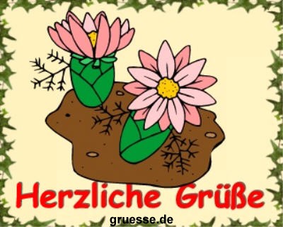 grusskarte-diverses-blumen-k_018
