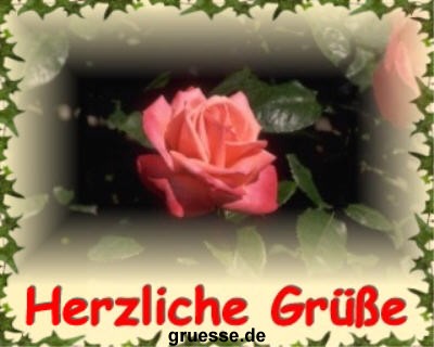 grusskarte-diverses-blumen-k_024