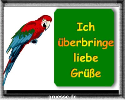 grusskarte-diverses-tiere-k_002