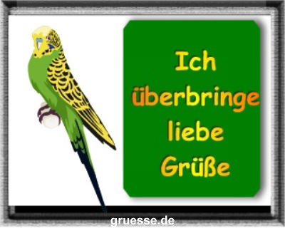 grusskarte-diverses-tiere-k_007