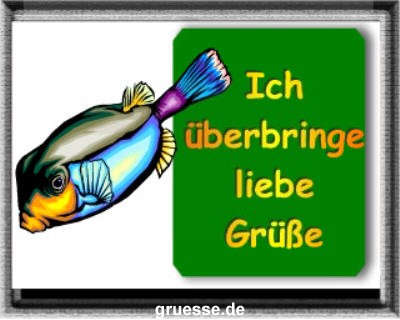 grusskarte-diverses-tiere-k_019