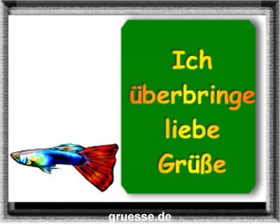 grusskarte-diverses-tiere-k_020
