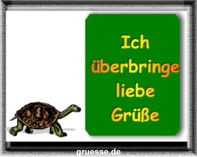 grusskarte-diverses-tiere-k_021