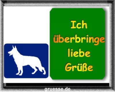 grusskarte-diverses-tiere-k_022