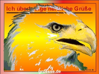 grusskarte-diverses-tiere-k_024