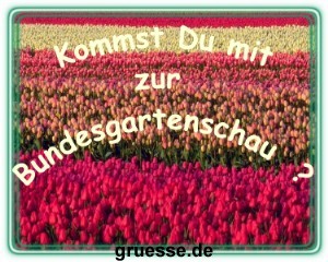 grusskarte-einladungen-diverses-k_004