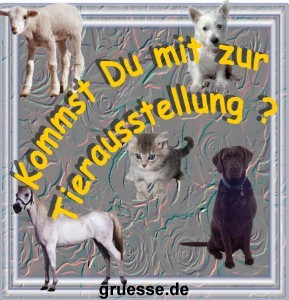 grusskarte-einladungen-diverses-k_012