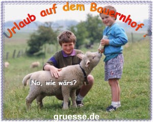 grusskarte-einladungen-reisen-k_002