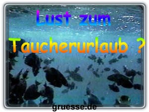 grusskarte-einladungen-reisen-k_005