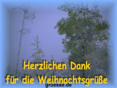 grusskarte-festtage-weihnachten-danke-k_005