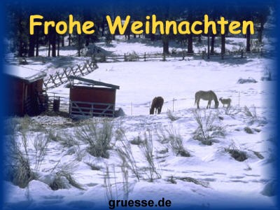 grusskarte-festtage-weihnachten-fotos-k_010