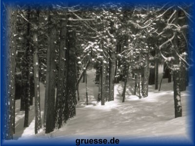 grusskarte-festtage-weihnachten-fotos-k_011