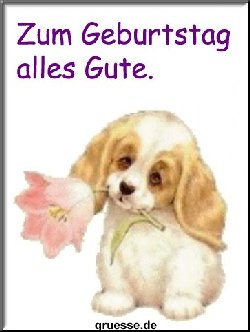 grusskarte-Grosse-Karten-geburtstag-k_026