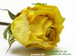 grusskarte-Traumschiff-Danke-k_014