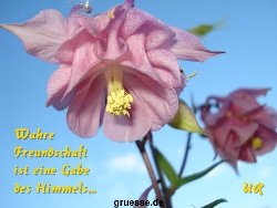 grusskarte-Traumschiff-Freundschaft-k_011