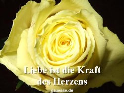 grusskarte-Traumschiff-Netter_Spruch-k_006