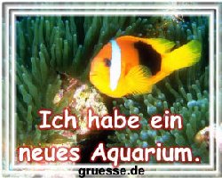 grusskarte-diverses-bekanntmachungen-k_001