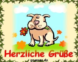 grusskarte-diverses-blumen-k_019