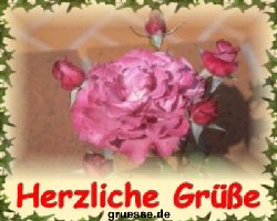 grusskarte-diverses-blumen-k_023
