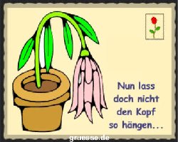 grusskarte-diverses-spassiges-k_003