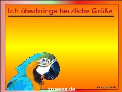 grusskarte-diverses-tiere-k_034