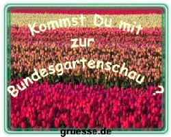 grusskarte-einladungen-diverses-k_004