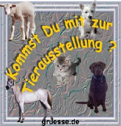 grusskarte-einladungen-diverses-k_012