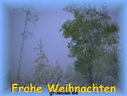 grusskarte-festtage-weihnachten-fotos-k_006