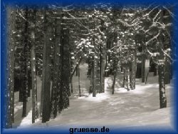 grusskarte-festtage-weihnachten-fotos-k_011