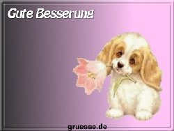grusskarte-glueckwuensche-genesung-k_013