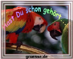 grusskarte-witz-witz3-k_010