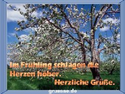 grusskarte-zeiten-fruehling-k_004
