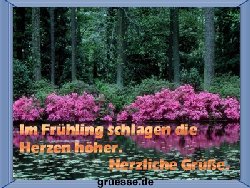 grusskarte-zeiten-fruehling-k_010