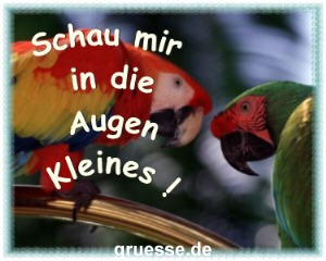 grusskarte-witz-witz4-k_012