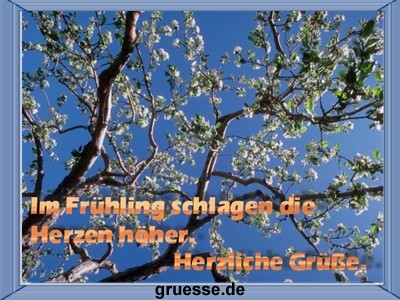 grusskarte-zeiten-fruehling-k_007