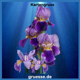 Grusskarten von gruesse.de