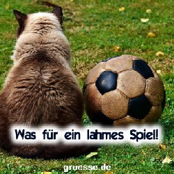 grusskarten-quadrat2-diverses-fussball_006