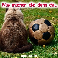 grusskarten-quadrat2-diverses-fussball_044