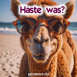 grusskarte-quadratisch-diverses_029