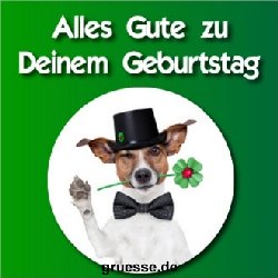grusskarte-quadratisch-glueckwuensche-geburtstag_024