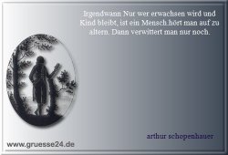 alter-019