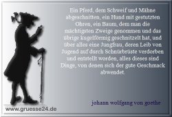 das-schoene-014