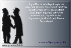 gemeinsamkeit-033