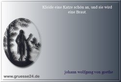 kleidung-025