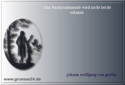 vorbild-024