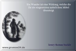 wunder-008