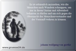 wunder-012