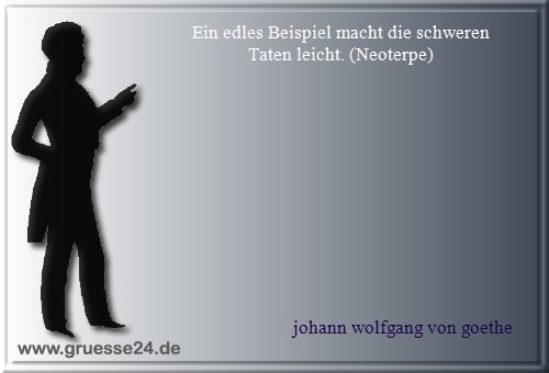 vorbild-019